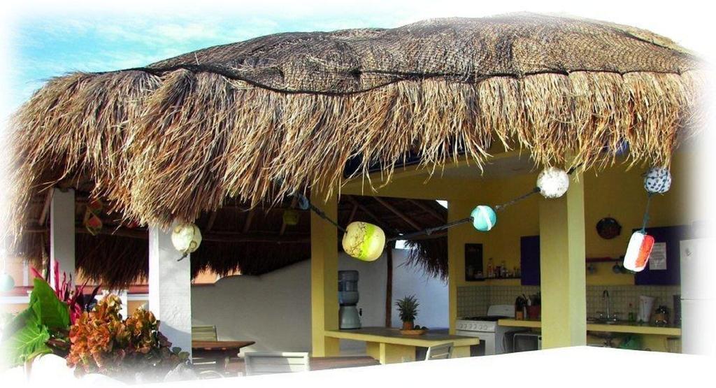 Coral Reef Inn Cozumel Zewnętrze zdjęcie