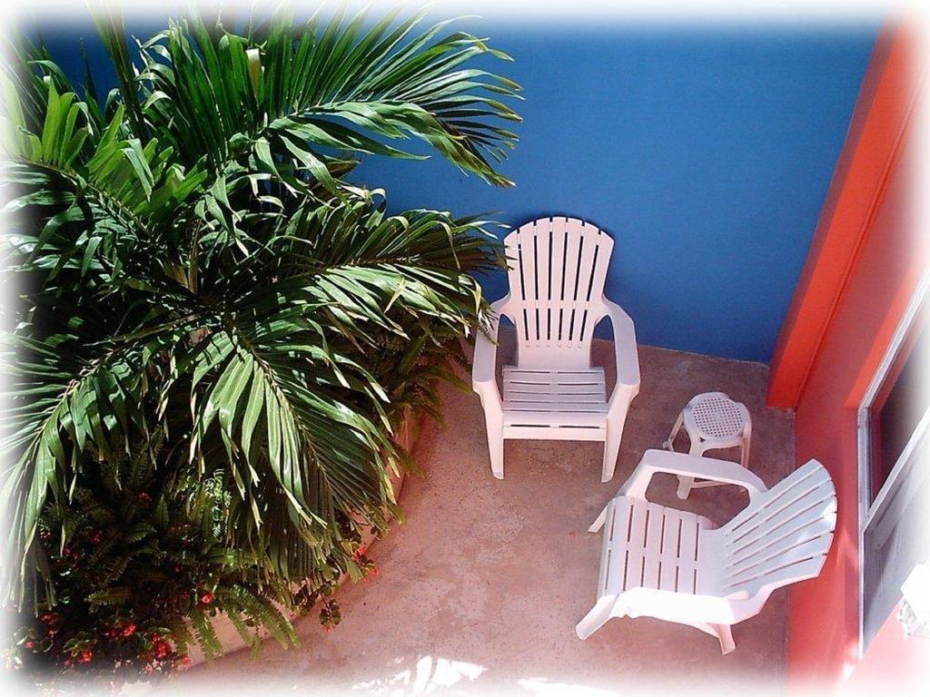 Coral Reef Inn Cozumel Zewnętrze zdjęcie